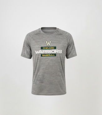 Warriors Baseball Graphic Tshirt-Gray